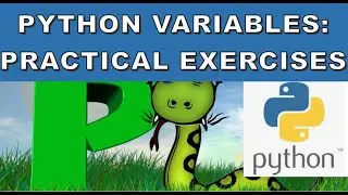 Python Practical Variables Exercises 