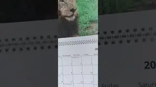 🇿🇦❣🇿🇦