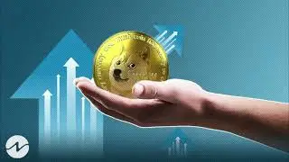 Dogecoin Recent Surge