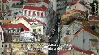 Zumbidos de Mouraria y San Francisco (Identibuzz)