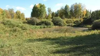 Сентябрьский лесной коп !
