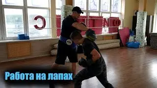 Работа на лапах 🥊 В БОКС ПОСЛЕ 30 лет