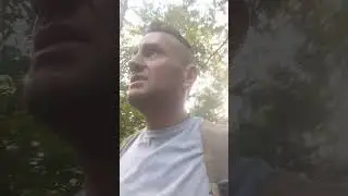Ставка рефинансирования ЦБ и налоги