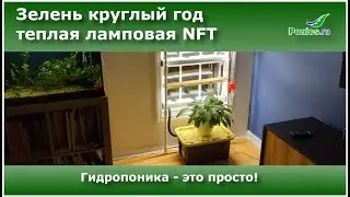 🥬🪴Гидропоника - Свежая зелень к столу круглый год🪴🥬