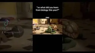 yeah i didn’t learn anything at all unfortunately #relatable #turtle #funny