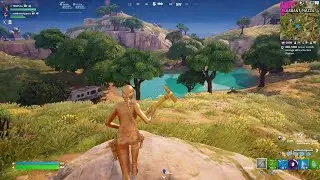 Fortnite: solo vs duos