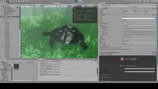 Tortle 2