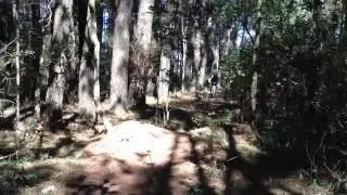 Simão no Horto de Batatais - Salto