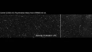 Comet C/2023 A3 (Tsuchinshan-Atlas) from 01-22 August 2024 STEREO HI-1A