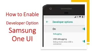 How to Enable Developer Options in SAMSUNG One UI