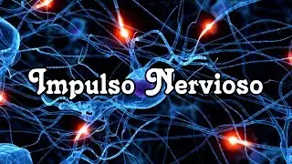 Impulso Nervioso