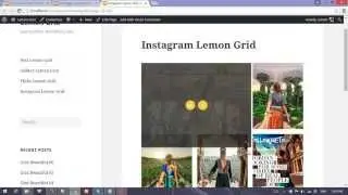 Wordpress Instagram Lemon Grid