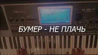 Бумер - не плачь KORG PA900