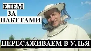 #пчеловодство