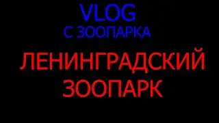 VLOG С ЗООПАРКА ЛЕНИНГРАДСКИЙ ЗООПАРК