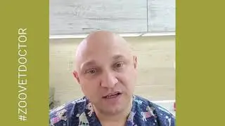 Продолжительность жизни животных, какие породы собак живут больше рекомендации Ушакова Дмитрия блог