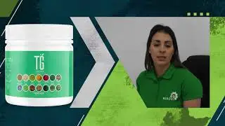 𝐁𝐞𝐧𝐞𝐟𝐢𝐜𝐢𝐨𝐬 𝐝𝐞 𝐓𝐨𝐭𝐚𝐥 𝐆𝐫𝐞𝐞𝐧 𝐝𝐞 𝐇𝐢𝐁𝐨𝐝𝐲