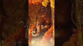 श्री गणेश प्रातः स्मरण स्तोत्र | शैलेंद्र भारती | जय श्री गणेश | तिलक प्रस्तुति 🙏