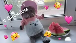 Утро с басиком💗🌴🌡️🏖️