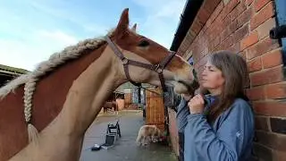 Chandler; first time being clipped for Winter