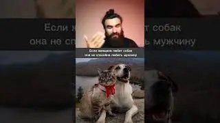Если женщина любит собак, она не способна любить мужчину | психология