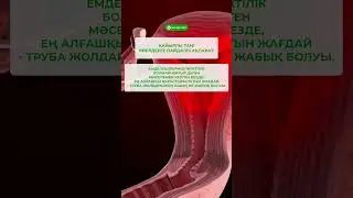9 ноября 2023 г.