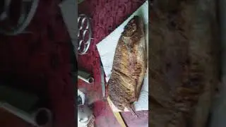 #shorts Карась