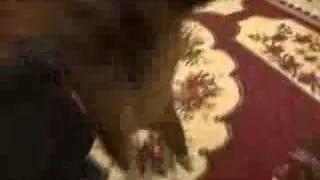 Ferrets vs Wiener