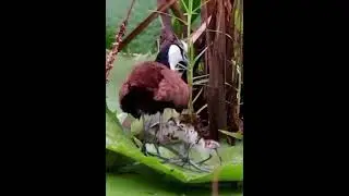 Здесь безопасно. Выходите.