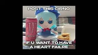 Touhou/Fumo memes dump 2