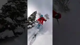 Powder Category - Meier Skis