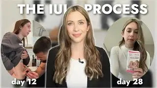 The IUI Process From Start To Finish | Timeline, What To Expect, Costs