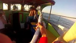 Барракуда на джиг ( barracuda )