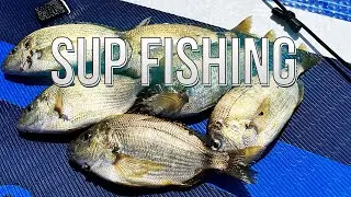 Рыбалка на Ласкиря в Крыму! Это был разнос по ласкирю!