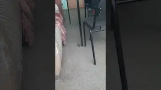 мышонок вышел похавать