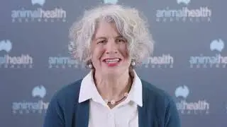 What does AHA do? An overview with CEO, Kathleen Plowman