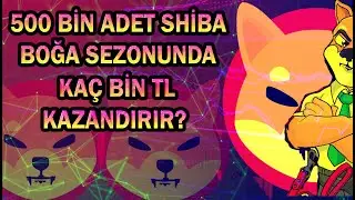 500 BİN ADET SHİBACOİN BOĞA SEZONUNDA KAÇ BİN TL KAZANDIRIR?
