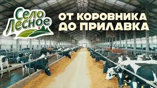 Молочное производство полного цикла торговой марки "Село Лесное" в Костанайской области