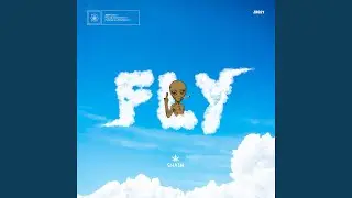 Fly