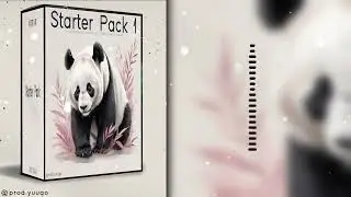 「Starter Pack」Japanese X Asian Starter Pack 1