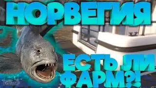 Катаю в RR4 Показываю места клева на веселе