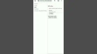 chrome://net-internals/#dns