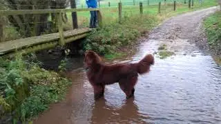 Max im Wasser Dez. 2017