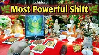 🌿❣️Most Powerful Energy Shift❣️🌿Current Feelings Next Action With Angel Guidance 💚Timeless Tarot 🌈