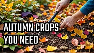 14 Crops Sow Every September | You Must Sow These Seeds in Early Autumn