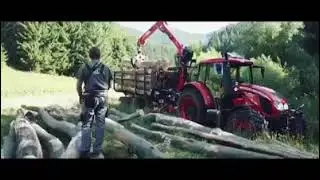 Těžba dřeva 🚜