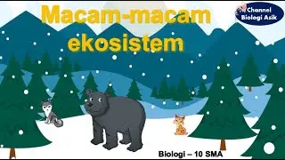 Macam-macam ekosistem - Biologi kelas 10 SMA