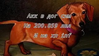 Для вас акк в дог сим на лвл 200.859 и ХП inf
