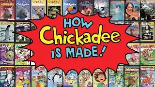 Happy 45th Birthday Chickadee!