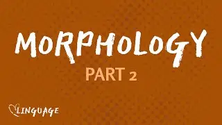 Intro to Nouns, Verbs, Adjective, and Adverbs (Morphology Part 2)